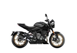 Neumotorrad Triumph Trident 800