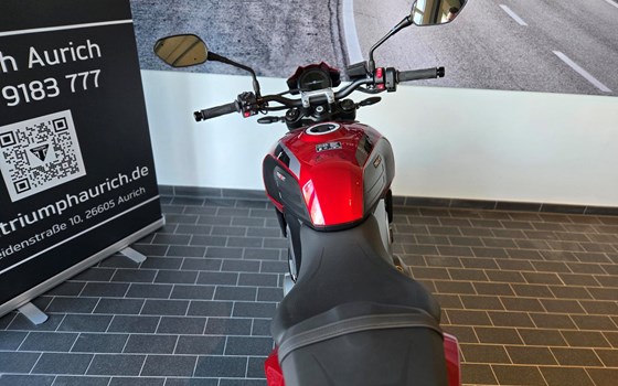 Neufahrzeug Triumph Trident 800 - Bild 9