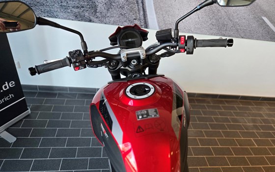 Neufahrzeug Triumph Trident 800 - Bild 10