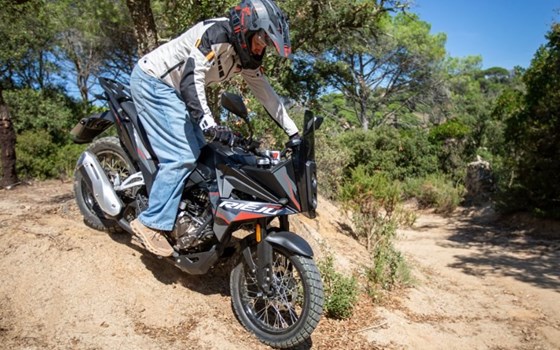 Neufahrzeug Rieju Aventura 125 - Bild 18