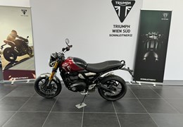 Gebrauchte Triumph Speed 400