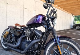 Gebrauchte Harley-Davidson Sportster XL 883 N Iron