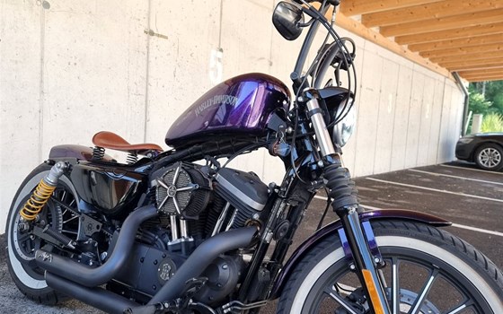 Gebrauchtmotorrad Harley-Davidson Sportster XL 883 N Iron - Bild 1