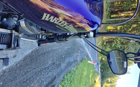 Gebrauchtmotorrad Harley-Davidson Sportster XL 883 N Iron - Bild 11