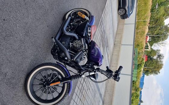 Gebrauchtmotorrad Harley-Davidson Sportster XL 883 N Iron - Bild 2