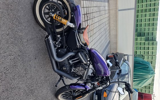 Gebrauchtmotorrad Harley-Davidson Sportster XL 883 N Iron - Bild 3