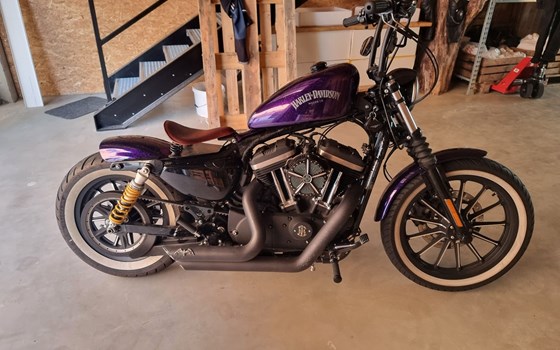 Gebrauchtmotorrad Harley-Davidson Sportster XL 883 N Iron - Bild 4