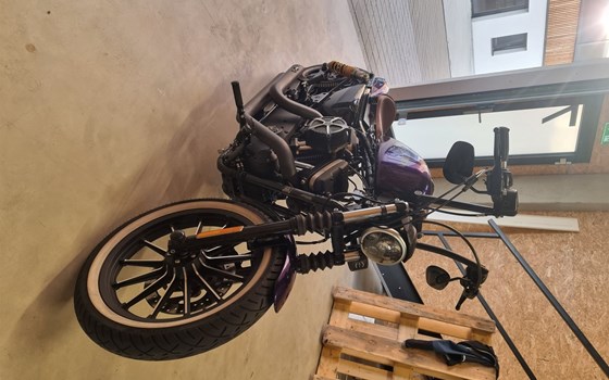 Gebrauchtmotorrad Harley-Davidson Sportster XL 883 N Iron - Bild 5