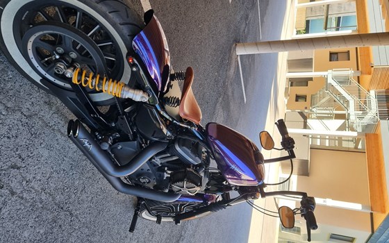 Gebrauchtmotorrad Harley-Davidson Sportster XL 883 N Iron - Bild 7