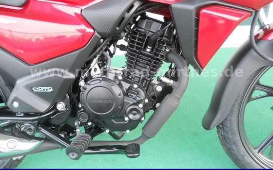 Neufahrzeug Honda CBF 125 - Bild 7