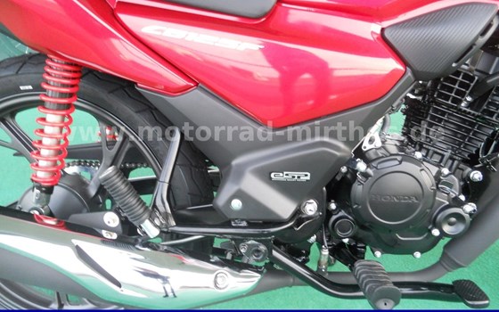 Neufahrzeug Honda CBF 125 - Bild 8