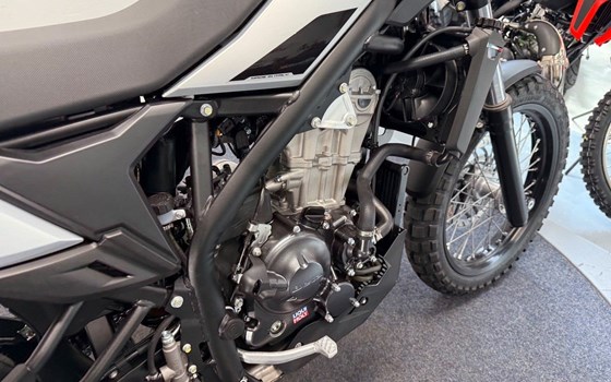 Neufahrzeug Beta Alp 4.0 - Bild 6