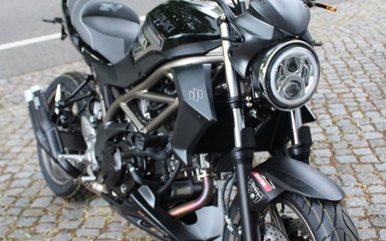 Neufahrzeug Suzuki SV650 - Bild 1