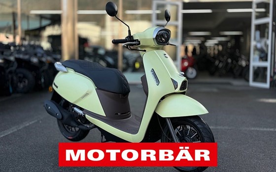 Neufahrzeug QJ Motor LTR 50 - Bild 1