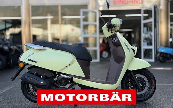 Neufahrzeug QJ Motor LTR 50 - Bild 2