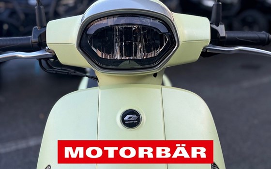 Neufahrzeug QJ Motor LTR 50 - Bild 4