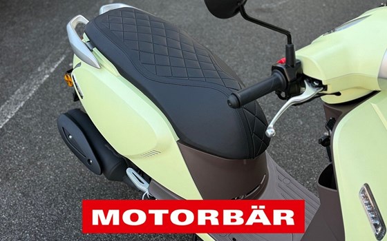 Neufahrzeug QJ Motor LTR 50 - Bild 6