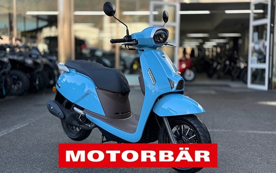 Neufahrzeug QJ Motor LTR 50 - Bild 1