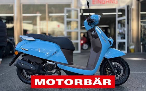 Neufahrzeug QJ Motor LTR 50 - Bild 2