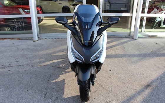 Gebrauchtmotorrad Honda Forza 125 - Bild 3