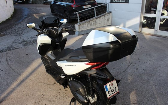 Gebrauchtmotorrad Honda Forza 125 - Bild 5