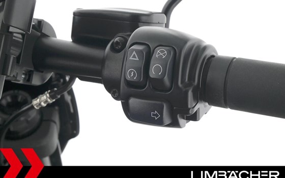 Gebrauchtmotorrad Harley-Davidson Softail Fat Bob 114 FXFBS - Bild 21