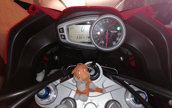 Gebrauchtmotorrad Triumph Tiger Sport 1050 - Bild 7