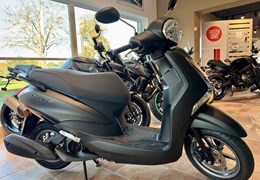 Gebrauchte Yamaha D'elight