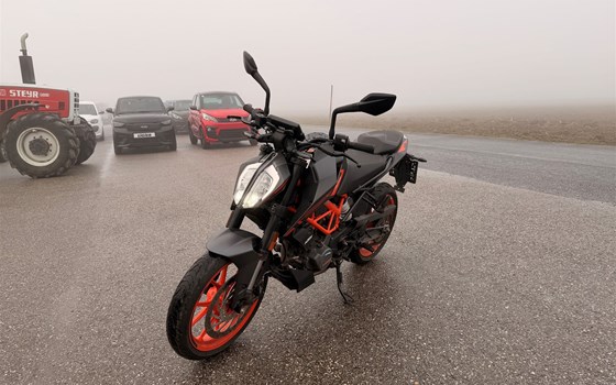 Gebrauchtmotorrad KTM 125 Duke - Bild 2