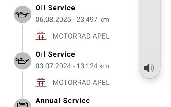 Gebrauchtmotorrad Ducati Multistrada V4 S - Bild 22