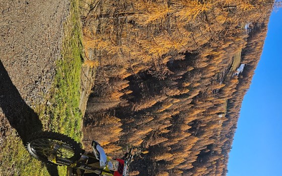 Gebrauchtmotorrad Husqvarna TE 250i - Bild 3