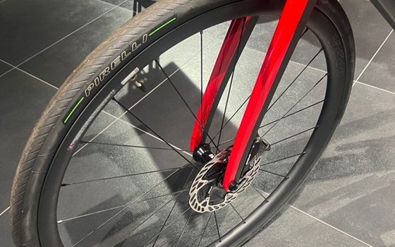 Neufahrzeug Ducati Futa - Bild 8