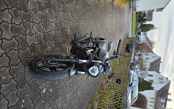 Gebrauchtmotorrad Kawasaki Vulcan S - Bild 1