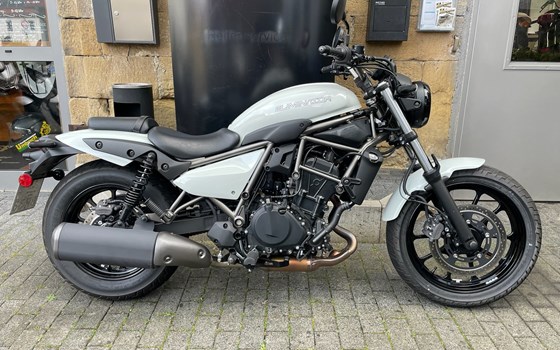 Neufahrzeug Kawasaki Eliminator 500 - Bild 1