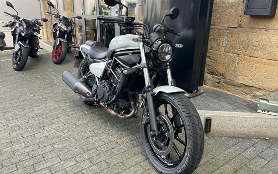 Neufahrzeug Kawasaki Eliminator 500 - Bild 4