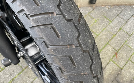 Neufahrzeug Kawasaki Eliminator 500 - Bild 5