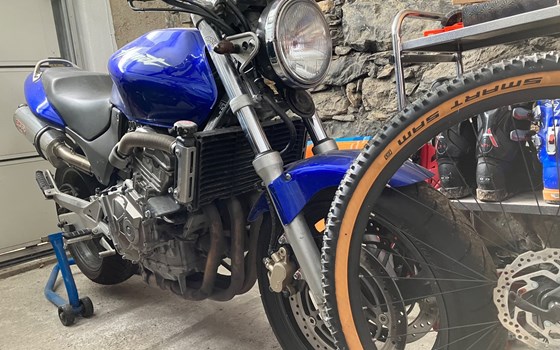 Gebrauchtmotorrad Honda CB 600 F Hornet - Bild 4