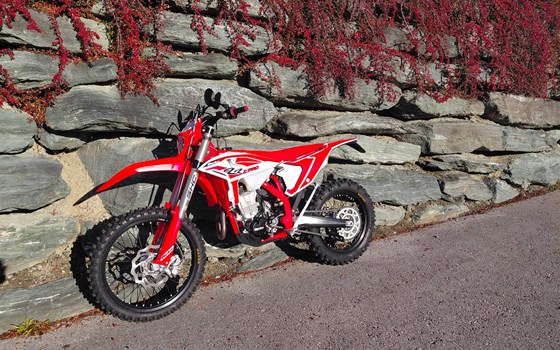 Neufahrzeug Beta RR 350 4T - Bild 2