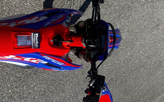 Neufahrzeug Beta RR 300 - Bild 5