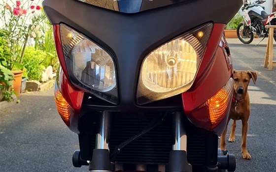 Gebrauchtmotorrad Honda CBF 600 S - Bild 18