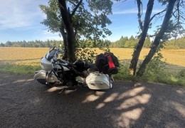 Gebrauchte Indian Chief Dark Horse