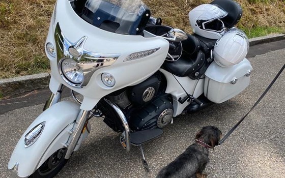 Gebrauchtmotorrad Indian Chief Dark Horse - Bild 8