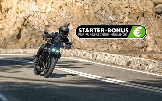 Neufahrzeug Kawasaki Ninja 1100SX SE - Bild 12