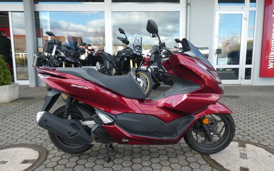 Gebrauchtmotorrad Honda PCX125 - Bild 1