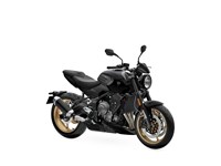 Neumotorrad Triumph Trident 800 