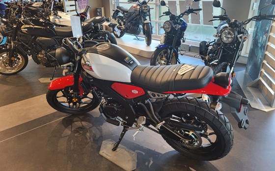 Neufahrzeug Yamaha XSR125 - Bild 2