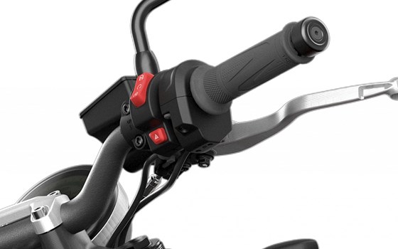 Gebrauchtmotorrad Triumph Trident 660 - Bild 8