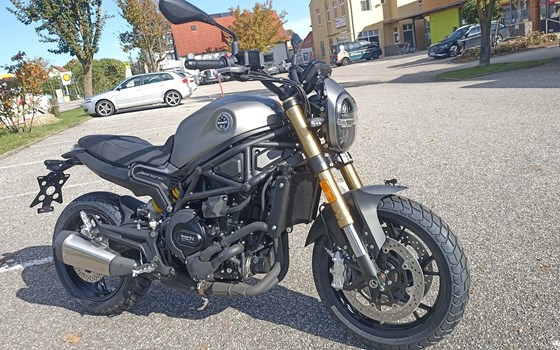 Gebrauchtmotorrad Benelli Leoncino 800 - Bild 1
