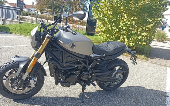 Gebrauchtmotorrad Benelli Leoncino 800 - Bild 10