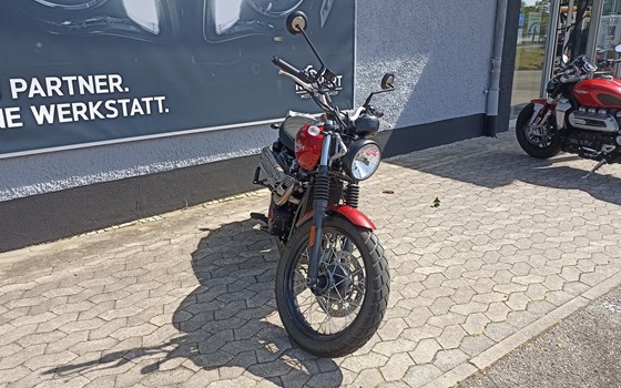 Gebrauchtmotorrad Triumph Scrambler 900 - Bild 3